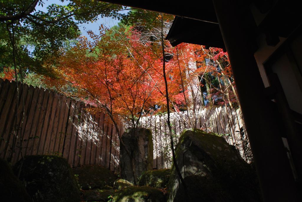Akizuki Spa Ryokan Seiryuan Asakura  Экстерьер фото
